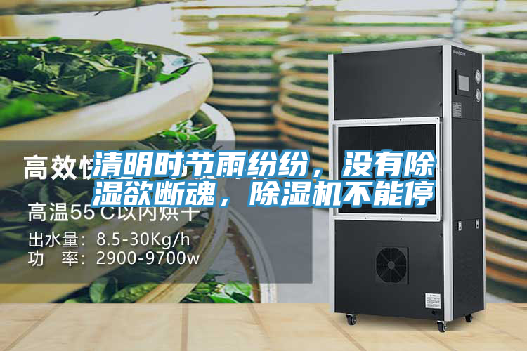 清明時(shí)節(jié)雨紛紛，沒(méi)有除濕欲斷魂，除濕機(jī)不能停