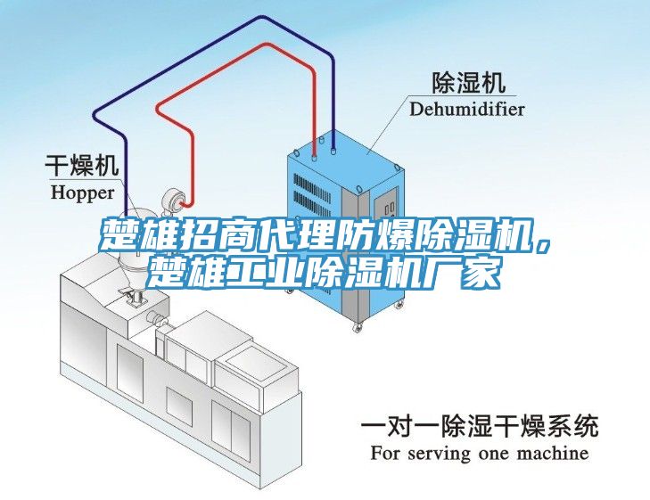 楚雄招商代理防爆除濕機(jī)，楚雄工業(yè)除濕機(jī)廠家