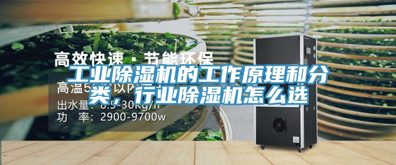 工業(yè)除濕機的工作原理和分類，行業(yè)除濕機怎么選