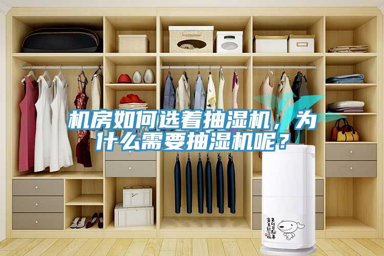 機房如何選著抽濕機，為什么需要抽濕機呢？