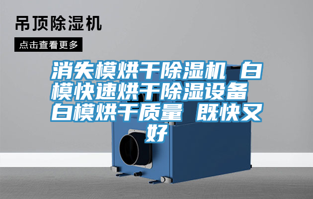 消失模烘干除濕機(jī) 白?？焖俸娓沙凉裨O(shè)備 白模烘干質(zhì)量 既快又好