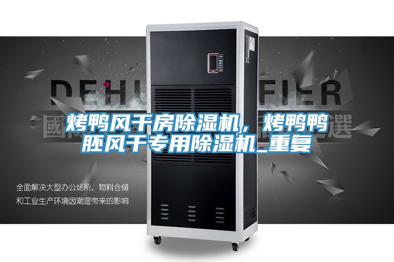 烤鴨風(fēng)干房除濕機，烤鴨鴨胚風(fēng)干專用除濕機_重復(fù)