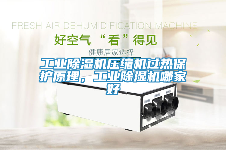 工業(yè)除濕機(jī)壓縮機(jī)過熱保護(hù)原理，工業(yè)除濕機(jī)哪家好
