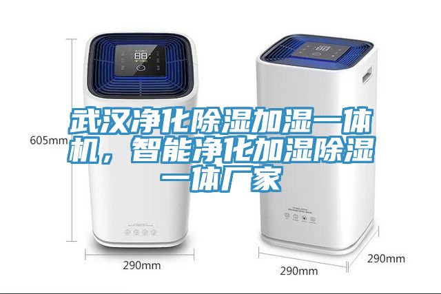 武漢凈化除濕加濕一體機(jī)，智能凈化加濕除濕一體廠家