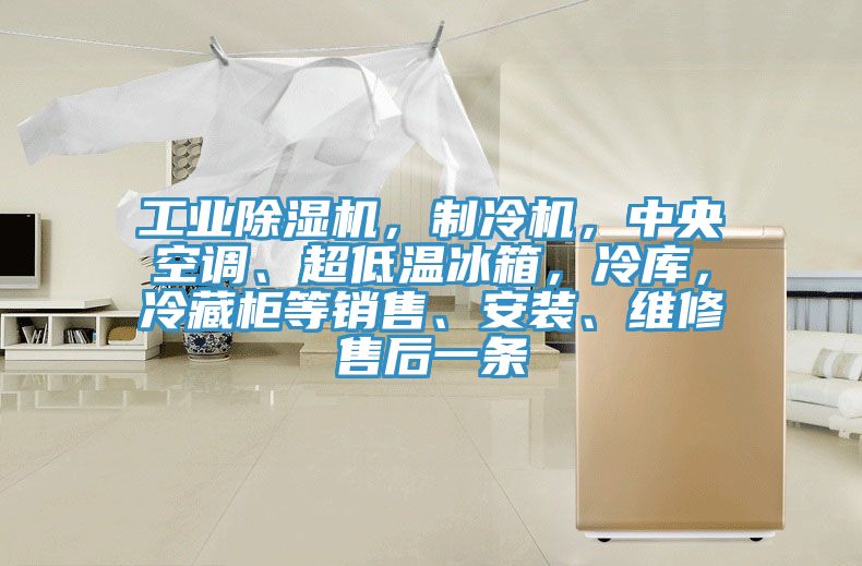 工業(yè)除濕機(jī)，制冷機(jī)，中央空調(diào)、超低溫冰箱，冷庫(kù)，冷藏柜等銷(xiāo)售、安裝、維修售后一條