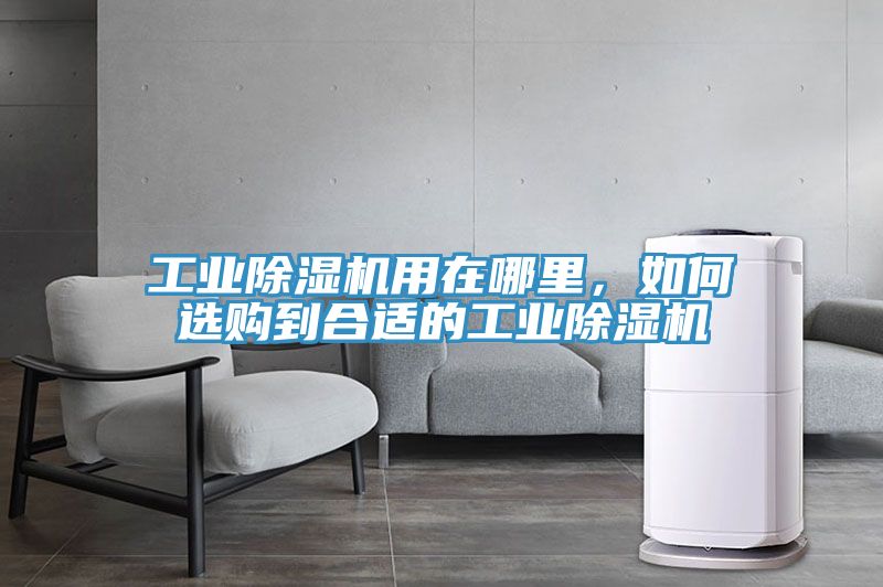 工業(yè)除濕機用在哪里，如何選購到合適的工業(yè)除濕機