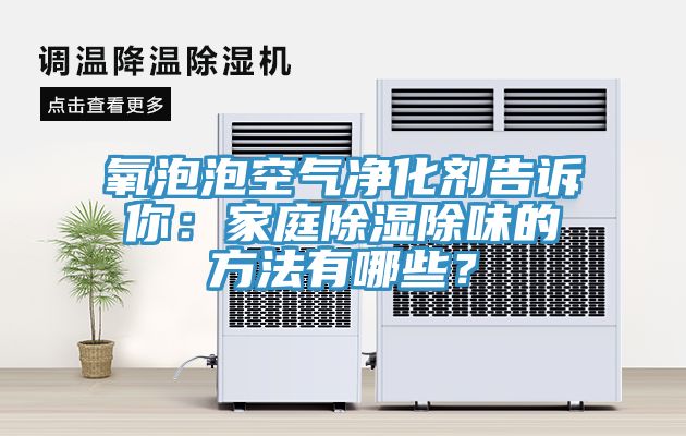氧泡泡空氣凈化劑告訴你：家庭除濕除味的方法有哪些？