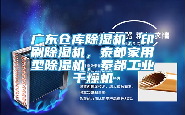 廣東倉庫除濕機，印刷除濕機，泰都家用型除濕機，泰都工業(yè)干燥機