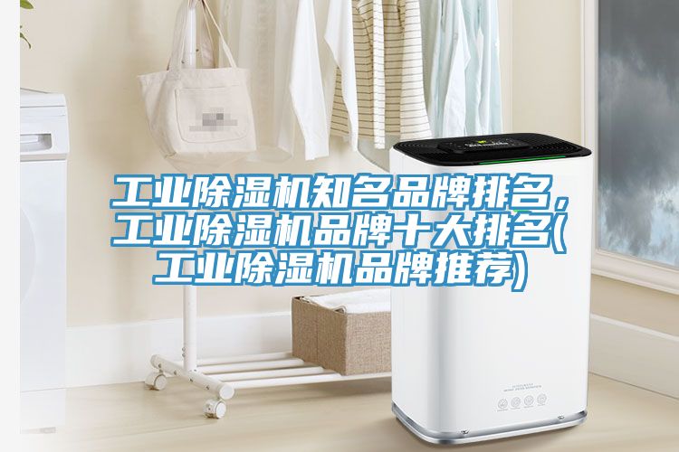 工業(yè)除濕機(jī)知名品牌排名，工業(yè)除濕機(jī)品牌十大排名(工業(yè)除濕機(jī)品牌推薦)