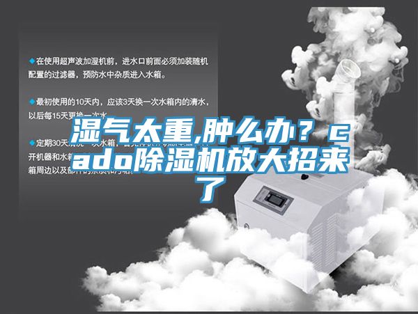 濕氣太重,腫么辦？cado除濕機(jī)放大招來了