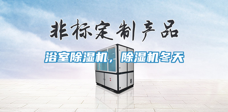 浴室除濕機(jī)，除濕機(jī)冬天