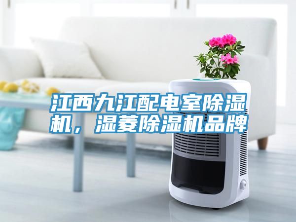 江西九江配電室除濕機，濕菱除濕機品牌