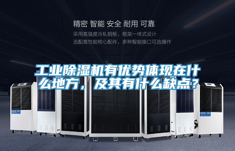 工業(yè)除濕機(jī)有優(yōu)勢(shì)體現(xiàn)在什么地方，及其有什么缺點(diǎn)？
