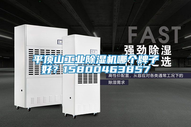 平頂山工業(yè)除濕機(jī)哪個牌子好？15800463857