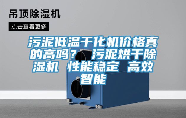 污泥低溫干化機價格真的高嗎？ 污泥烘干除濕機 性能穩(wěn)定 高效智能