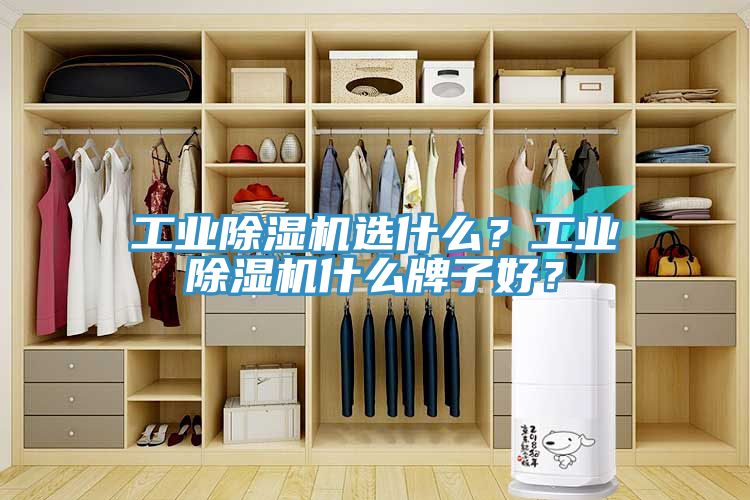 工業(yè)除濕機選什么？工業(yè)除濕機什么牌子好？