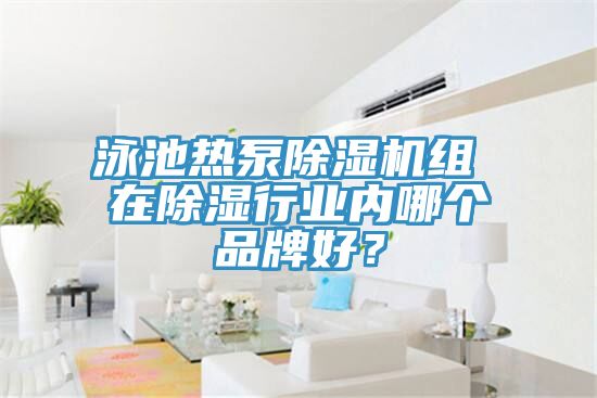 泳池?zé)岜贸凉駲C(jī)組 在除濕行業(yè)內(nèi)哪個(gè)品牌好？