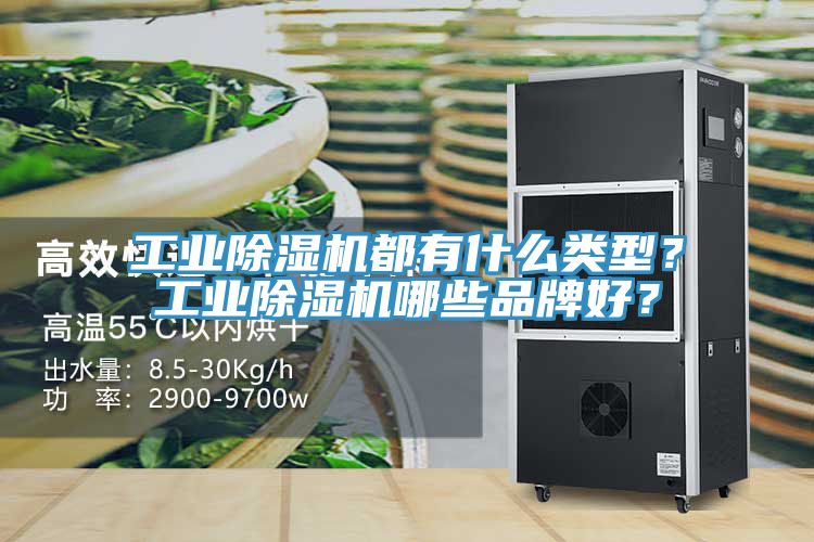 工業(yè)除濕機(jī)都有什么類型？工業(yè)除濕機(jī)哪些品牌好？