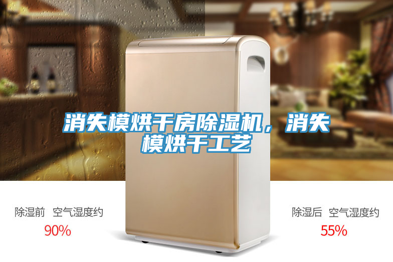 消失模烘干房除濕機(jī)，消失模烘干工藝