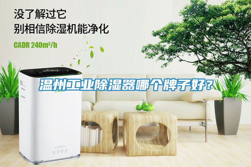 溫州工業(yè)除濕器哪個(gè)牌子好？