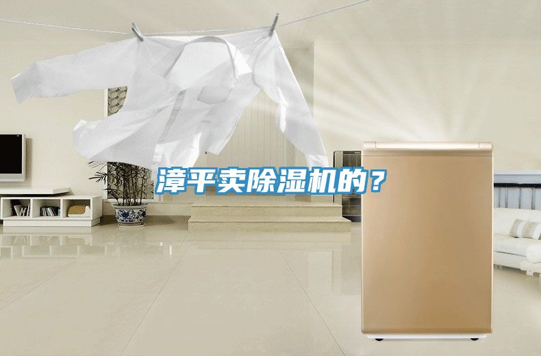 漳平賣除濕機的？