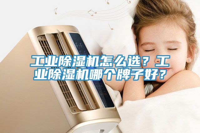 工業(yè)除濕機(jī)怎么選？工業(yè)除濕機(jī)哪個牌子好？