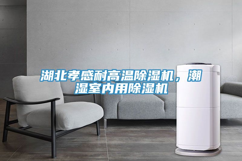 湖北孝感耐高溫除濕機(jī)，潮濕室內(nèi)用除濕機(jī)