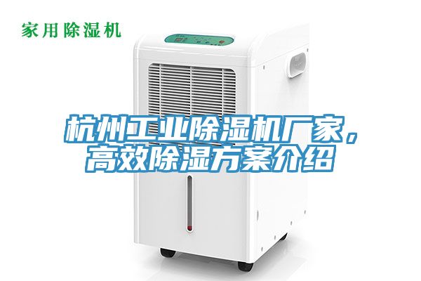 杭州工業(yè)除濕機(jī)廠家，高效除濕方案介紹