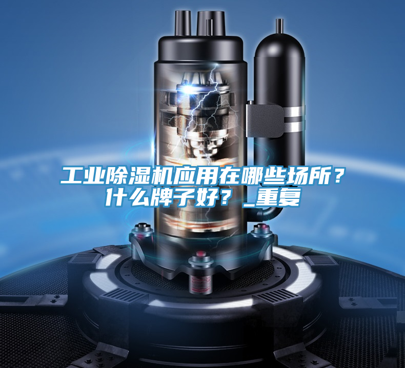 工業(yè)除濕機(jī)應(yīng)用在哪些場所？什么牌子好？_重復(fù)