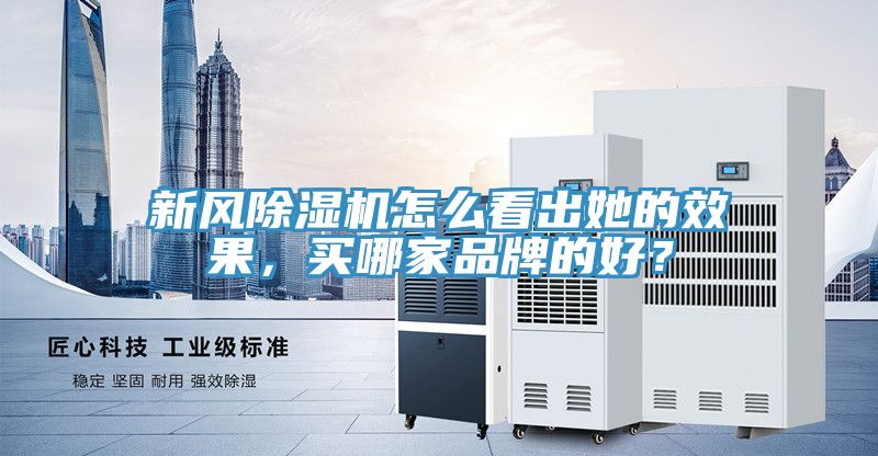 新風除濕機怎么看出她的效果，買哪家品牌的好？