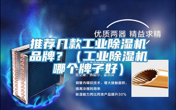 推薦幾款工業(yè)除濕機(jī)品牌？（工業(yè)除濕機(jī)哪個(gè)牌子好）