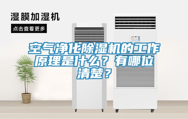 空氣凈化除濕機的工作原理是什么？有哪位清楚？
