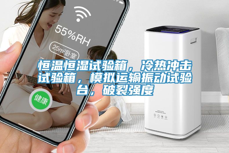 恒溫恒濕試驗箱，冷熱沖擊試驗箱，模擬運輸振動試驗臺，破裂強度