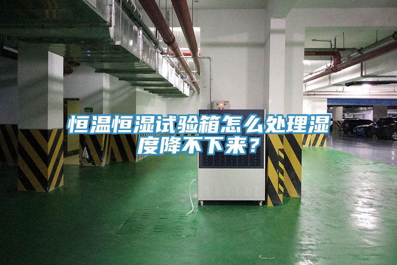 恒溫恒濕試驗箱怎么處理濕度降不下來？
