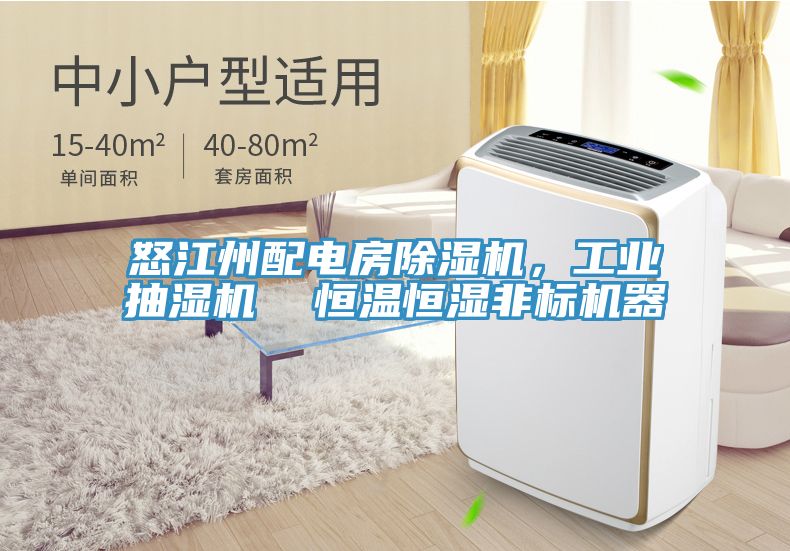 怒江州配電房除濕機，工業(yè)抽濕機  恒溫恒濕非標(biāo)機器
