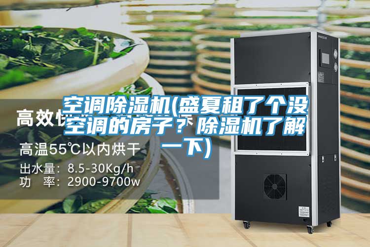 空調(diào)除濕機(jī)(盛夏租了個(gè)沒(méi)空調(diào)的房子？除濕機(jī)了解一下)