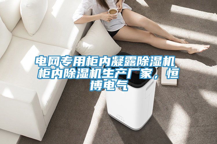 電網(wǎng)專用柜內(nèi)凝露除濕機(jī) 柜內(nèi)除濕機(jī)生產(chǎn)廠家，恒博電氣