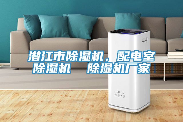 潛江市除濕機(jī)，配電室除濕機(jī)  除濕機(jī)廠家