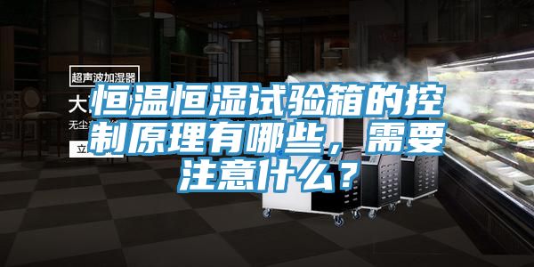 恒溫恒濕試驗箱的控制原理有哪些，需要注意什么？