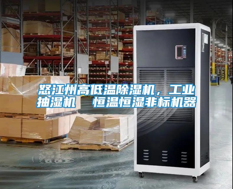 怒江州高低溫除濕機，工業(yè)抽濕機  恒溫恒濕非標(biāo)機器