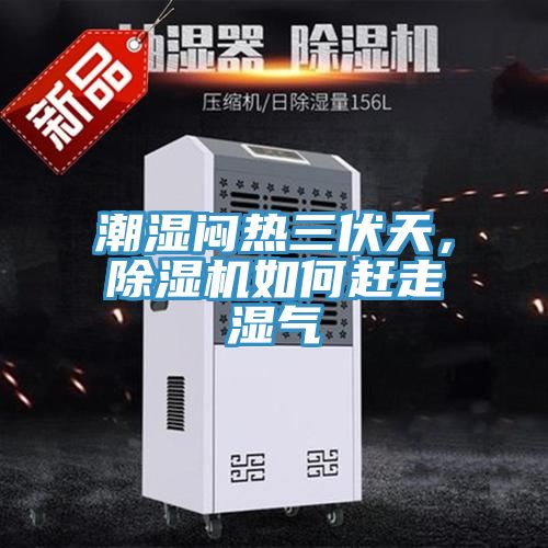 潮濕悶熱三伏天，除濕機(jī)如何趕走濕氣