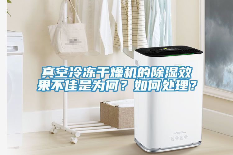 真空冷凍干燥機(jī)的除濕效果不佳是為何？如何處理？