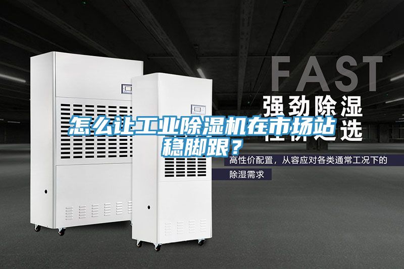 怎么讓工業(yè)除濕機(jī)在市場(chǎng)站穩(wěn)腳跟？
