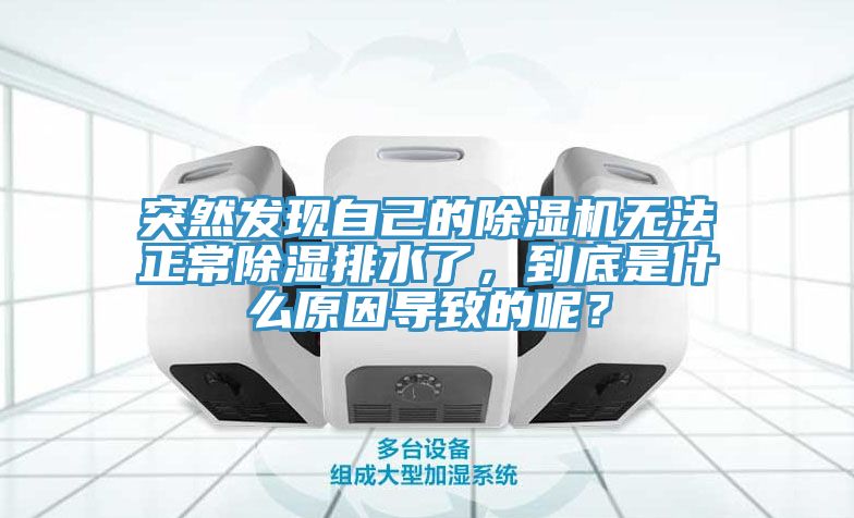 突然發(fā)現(xiàn)自己的除濕機無法正常除濕排水了，到底是什么原因?qū)е碌哪兀?></div>
								<div   id=