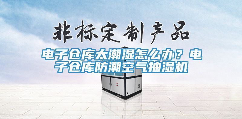 電子倉庫太潮濕怎么辦？電子倉庫防潮空氣抽濕機