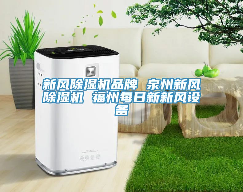 新風除濕機品牌 泉州新風除濕機 福州每日新新風設(shè)備