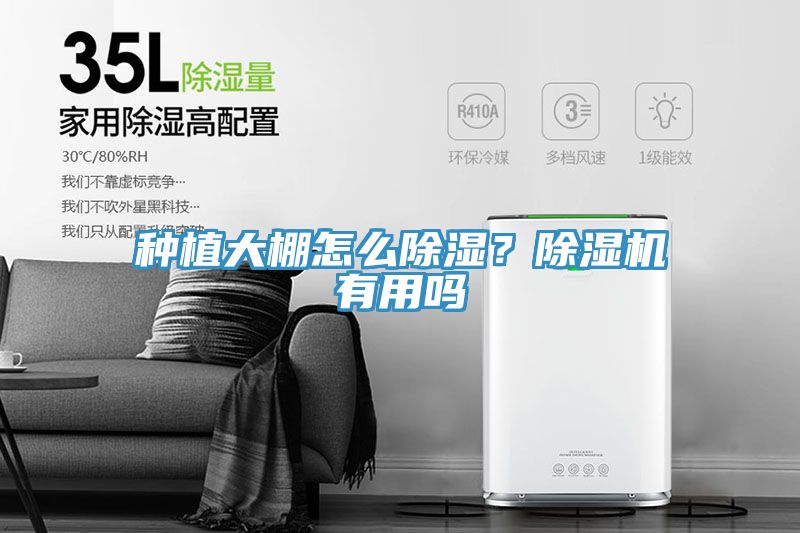 種植大棚怎么除濕？除濕機(jī)有用嗎