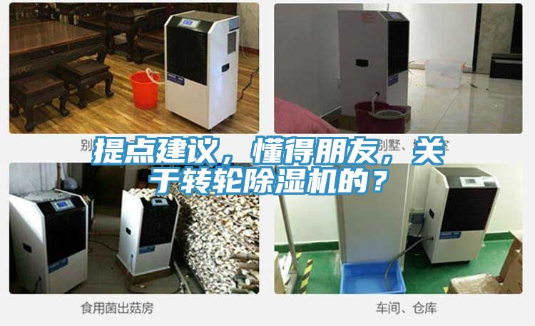 提點(diǎn)建議，懂得朋友，關(guān)于轉(zhuǎn)輪除濕機(jī)的？