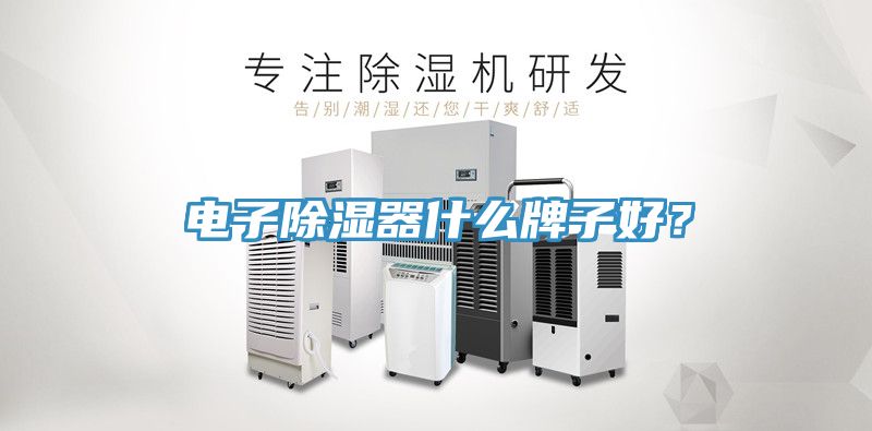 電子除濕器什么牌子好？