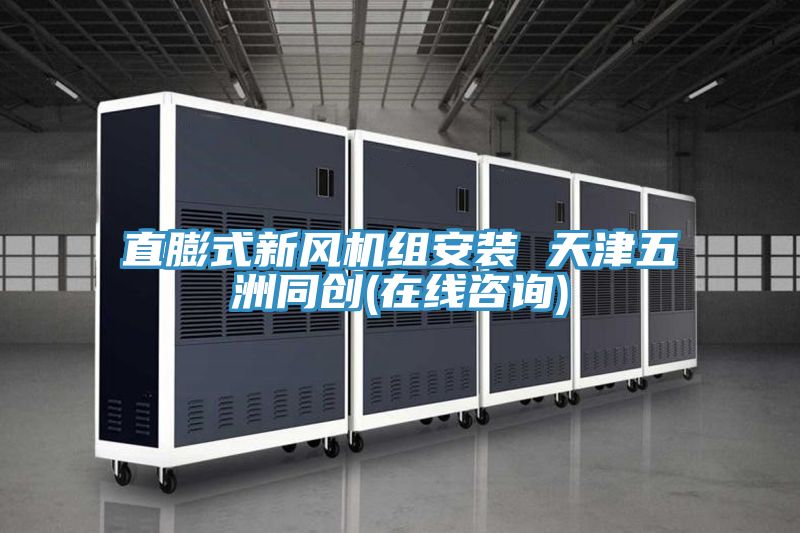 直膨式新風(fēng)機(jī)組安裝 天津五洲同創(chuàng)(在線(xiàn)咨詢(xún))